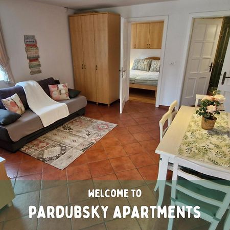 Pardubsky Apartments Lubiana Esterno foto
